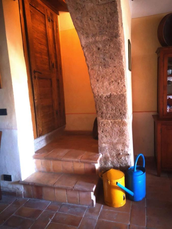 Podere Poggio Lupinaio San Martino sul Fiora Экстерьер фото